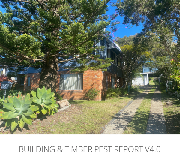 30 Park Ave Caves Beach, NSW 2281